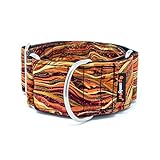candyPet 8436570342165 Martingale Dog Collar - New Waves Model, M, New Waves...