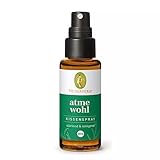 Primavera Atmewohl Kissenspray Bio 30 ml - Textil- und Raumduft mit Eukalyptus und...