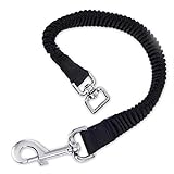 PetPäl Ruckdämpfer für Hunde Leine angenehm, elastische Hundeleine - Perfekte Dämpfung...