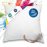 wometo Federkissen 100% Federn 50x50-600g Oeko-TEX Sofakissen Füllkissen Bezug...