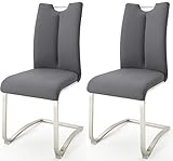 Robas Lund Esszimmerstühle 2er Set Grau, Echtleder Schwingstuhl Esszimmerstuhl...