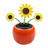 Solar Wackelblume Wackelblume Solarblume Solar Wackelblume Blume,Solar...