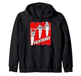calisthenics body weight dips klimmzug bars calisthenics Kapuzenjacke