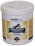extra für ältere Hunde/Teufelskralle+Grünlippmuschel-Mix/Gelenk Pulver, 500g...