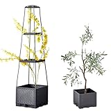 Tomatenpflanzturm, Blumenkasten mit Rankgitter, Tomatentopf Hochbeet Pflanzkasten für...