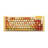 DUSTSILVER K84 Kabelgebundene mechanische Tastatur – 75% kompaktes Layout, USB C...