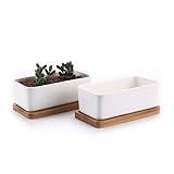 T4U 16.5CM Rechteckig Keramik Sukkulenten Töpfe Kaktus Pflanze Töpfe klein Blumentöpfe...