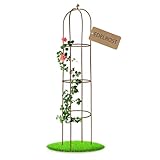 Nordstern Rankhilfe Obelisk Rost - Rankturm Rankgitter für Rosen und Kletterpflanzen -...