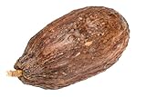 NaDeco Kakaoschote Natur-Braun, geöffnet ohne Bohnen, Größe ca. 10-15 cm | Kakaoschote...