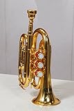Taschentrompete mit goldfarbenem Finish, BB-Pitch mit Hartschalentasche und...