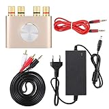 Sxhlseller -Stereo-Verstärker, Bluetooth Power Digital-Verstärker, 100W HiFi...