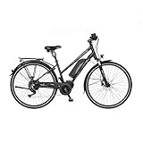 Fischer E-Bike Trekking, VIATOR ETD 1861 Elektrofahrrad für Damen, RH 49 cm,...