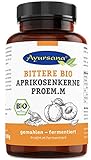 Bittere Aprikosenkerne (500 g) gemahlen und fermentiert | Sehr hoher Amygdalin-Anteil |...