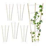 Bambus Rankgitter 75 x 35 cm Natur - 6er Set - Holz Kletterhilfe konisch für...