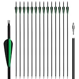 NorthSpoor 14 Stück Carbonpfeile 31 Zoll mit abnehmbaren Pfeilen für Jugend und...