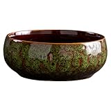 Générique Geräumiger Behälter, Inchesceramic, Sukkulentenbehälter, geräumig,...