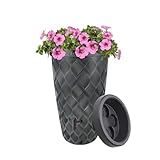 Design Regenwassertank 240L Anthrazit – Pflanzbar – 112 cm Höhe – Inkl....