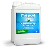 Hochwirksamer Algenvernichter Pool SCHAUMFREI 3 L | Vorbeugung und Verhinderung von...