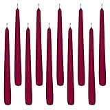 Gastro 10 Spitzkerzen bordeaux 23,5 x 245 mm