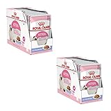 Royal Canin Kitten | Doppelpack | 2 x 12 x 85 g | Nassfutter für Katzenwelpen | Mit...