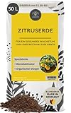 Zitruserde 50 L - Aus 100% nachwachsenden Rohstoffen - Blumenerde Zitruspflanzen - Für...