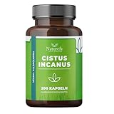 Cistus Incanus Kapseln - 200 Natürliche Zystrose Kapseln - Zystus -...