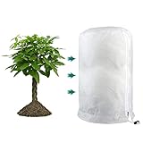 PHUSTJKL Winterschutz für Pflanzen 80x100cm Winterschutz für Kübelpflanzen...