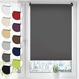 Verdunkelungsrollo Klemmfix ohne Bohren 65cm x 130cm Grau Verdunklungsrollo...