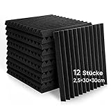 Fstop Labs 12 Stücke Akustikschaumstoff, 2,5x30x30 cm, 3D Hochdichte...