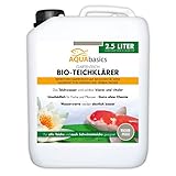 AQUAbasics Gartenteich Bio-Teichklärer für kristallklares Wasser ohne Chemie - befreit...