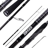 ZECK - High-End-Rute von Sebastian Hänel - Zander Premium Wumme 235 | 80