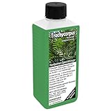 Trachycarpus Dünger für Hanfpalmen Tessinerpalmen Trachycarpus fortunei wagnerianus...