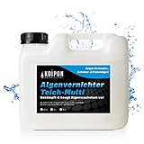 KOIPON Algenvernichter Teich Multi 5 l, Fadenalgenvernichter & Schwebealgen...