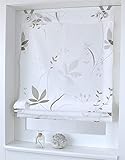 Kutti Ösenrollo Raffrollo Dandelion Weiss Natur Taupe Breite 100 x Höhe 140 cm