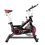 EVOLAND Heimtrainer für den Innenbereich, Profi-Heimtrainer, Fitnessfahrrad mit...