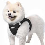 rabbitgoo Hundegeschirr Kleine Hunde, Step-in Welpengeschirr Weich Mesh für...