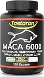 Tostoron MACA 6000 dein Antrieb! Extra stark + HOCHDOSIERT 120 Kapseln +...