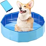LUFEIS Hundepool, 60x20 cm Hundepool Schwimmbad, Hundebecken Faltbar mit Ablassventil,...