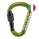 SALEWA Unisex – Erwachsene HMS SCREW G2 carabiner, Grün, normal