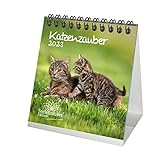 Katzenzauber Tischkalender für 2023 Format 10cm x 10cm Katzen und Katzenbabys -...