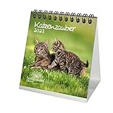 Katzenzauber Tischkalender für 2023 Format 10cm x 10cm Katzen und Katzenbabys -...
