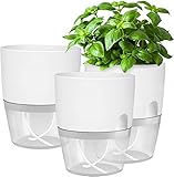 iDattel Kräutertopf Küche Set Fensterbank selbstbewässernd-3er Set Kräutergarten für...