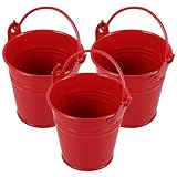 Homoyoyo 3 Stück Metall Blumenkübel mit Henkel Kleine Pflanztöpfe für Zimmerpflanzen...