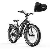 Himiway Cruiser E-Bike Herren Damen mit 250W Motor 25 Km/h, E-Mountainbike mit 48V 17,5Ah...