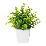 LIXSAZSE Natur drinnen, wartungsarm, Topfornamente für Atmosphäre, künstliche ABS...