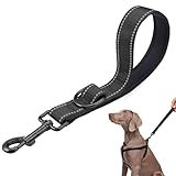 Starke Kurze Hundeleine, Trainingsleine für Hunde Mit Handschlaufe D-Karabiner, 2.5 cm X...