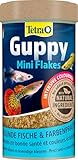 Tetra Guppy Mini Flakes - Fischfutter für alle Guppys, feines Flockenfutter...