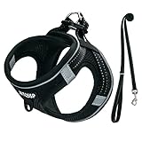 Hundegeschirr Kleine Hunde Schwarz Gepolstert, Welpengeschirr, Dog Harness Geschirr Hunde...