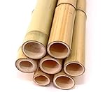 20er Set Bambusrohr gelb, Moso Bambus, Gebleicht, Durch. 3,5-4,5cm, Länge 300cm...