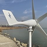 Genway 600W Windkraftanlage 12V 24V 48V Windturbine mit 5 Flügeln und...